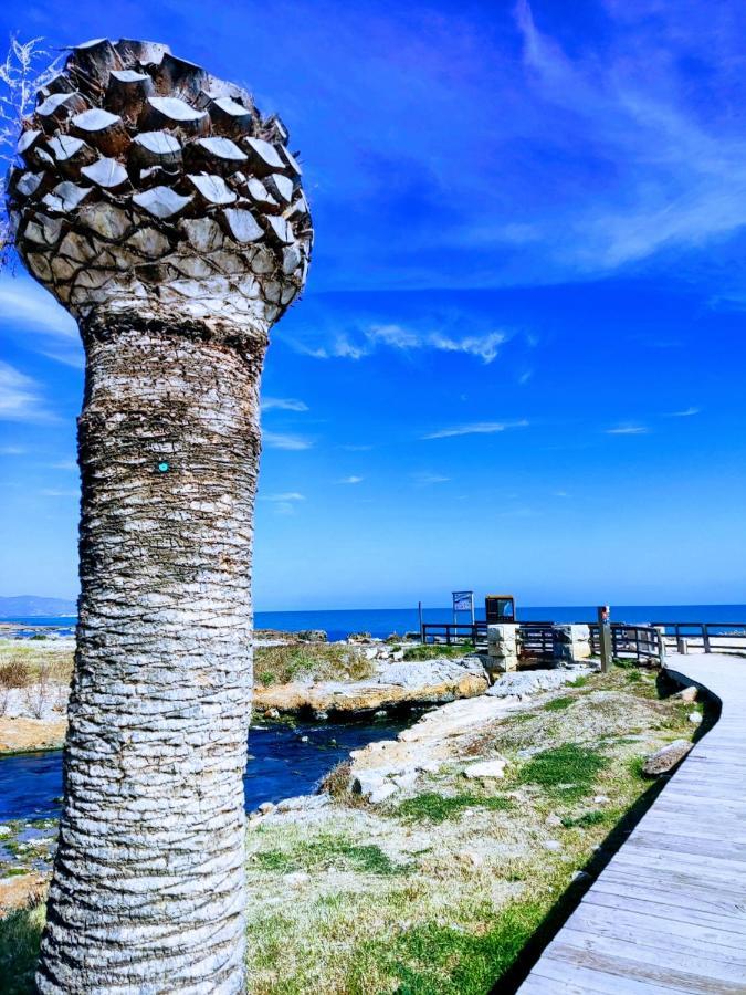 Apartamento Acogedor En Cabanes, Torre La Sal, Costamar I Marina D'Or Venta de San Antonio-Estacion Екстериор снимка